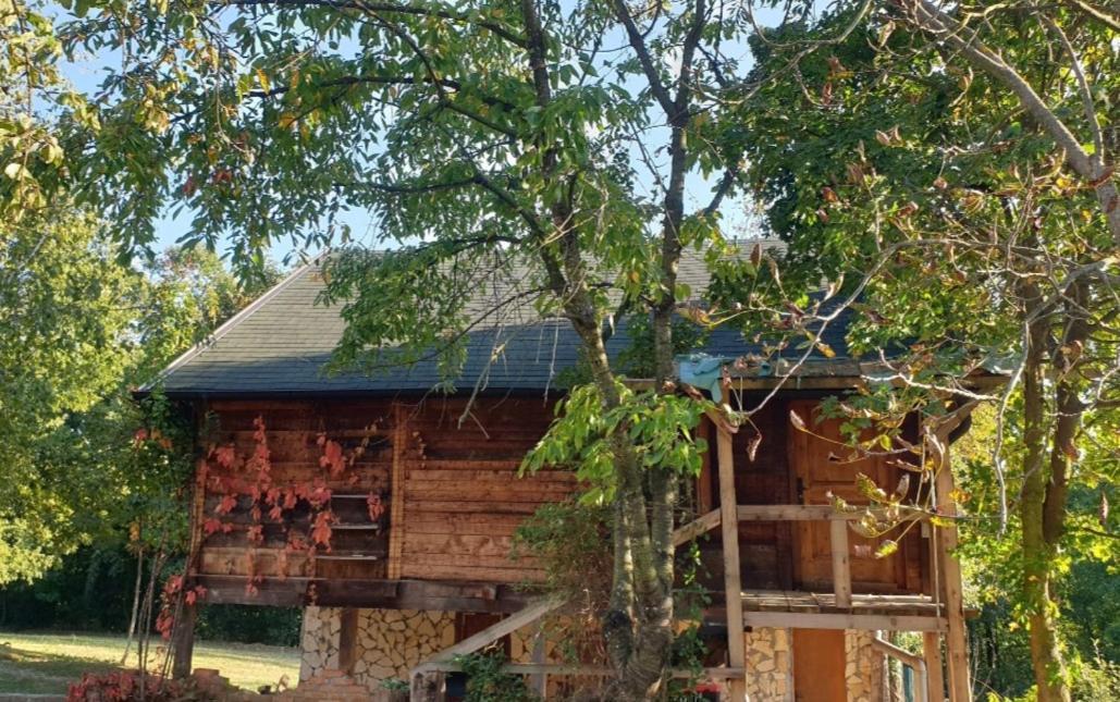Log Cabin Belgrado Buitenkant foto