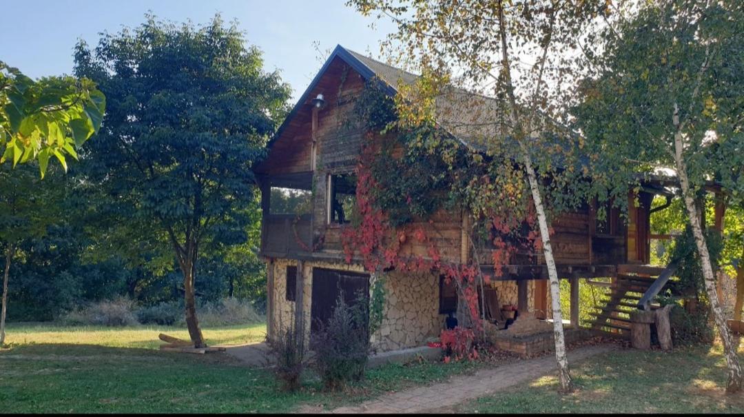 Log Cabin Belgrado Buitenkant foto