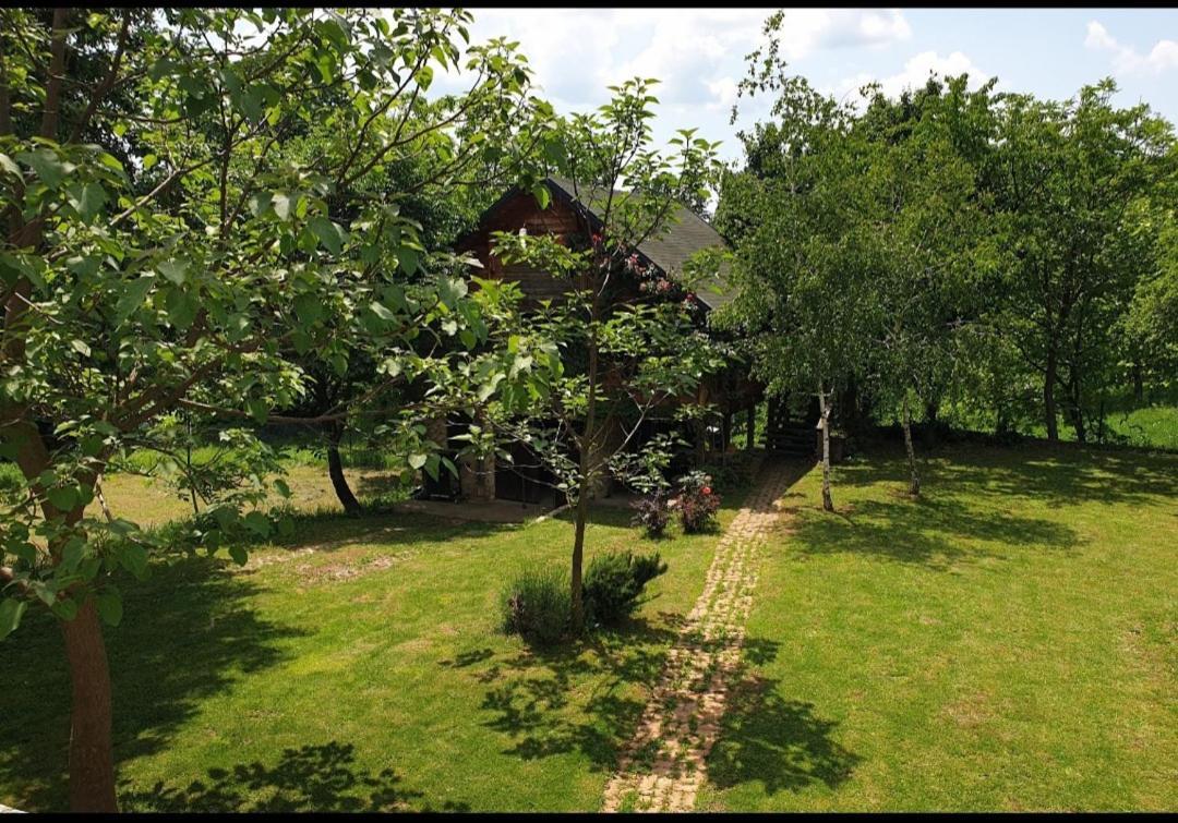 Log Cabin Belgrado Buitenkant foto