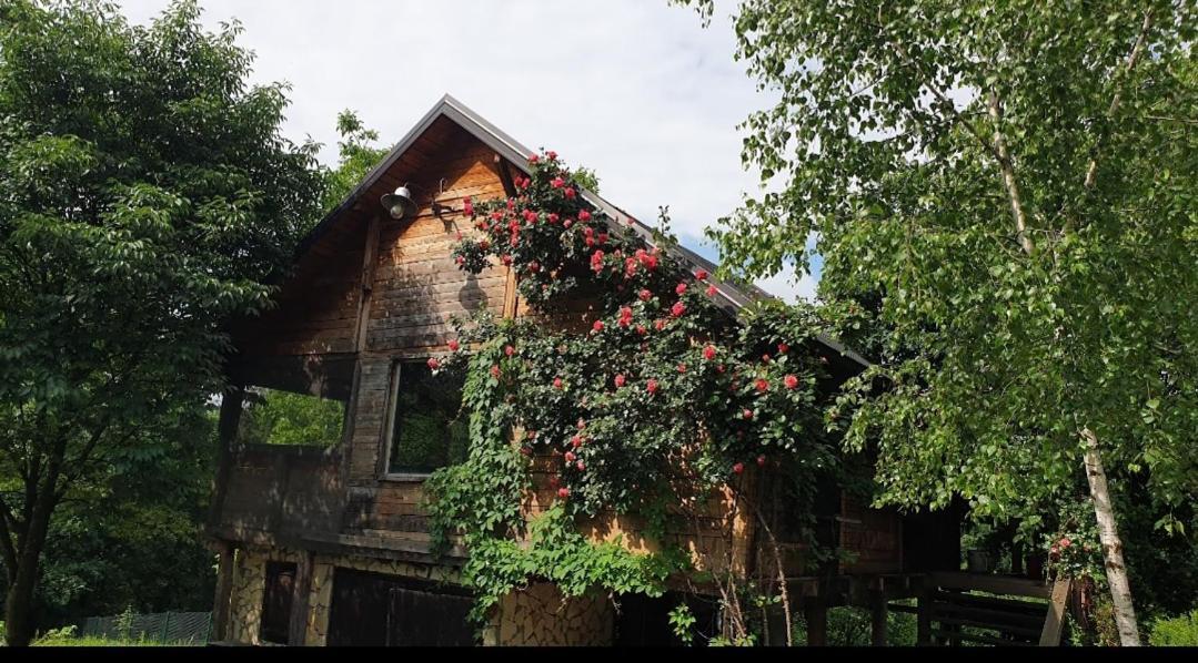 Log Cabin Belgrado Buitenkant foto