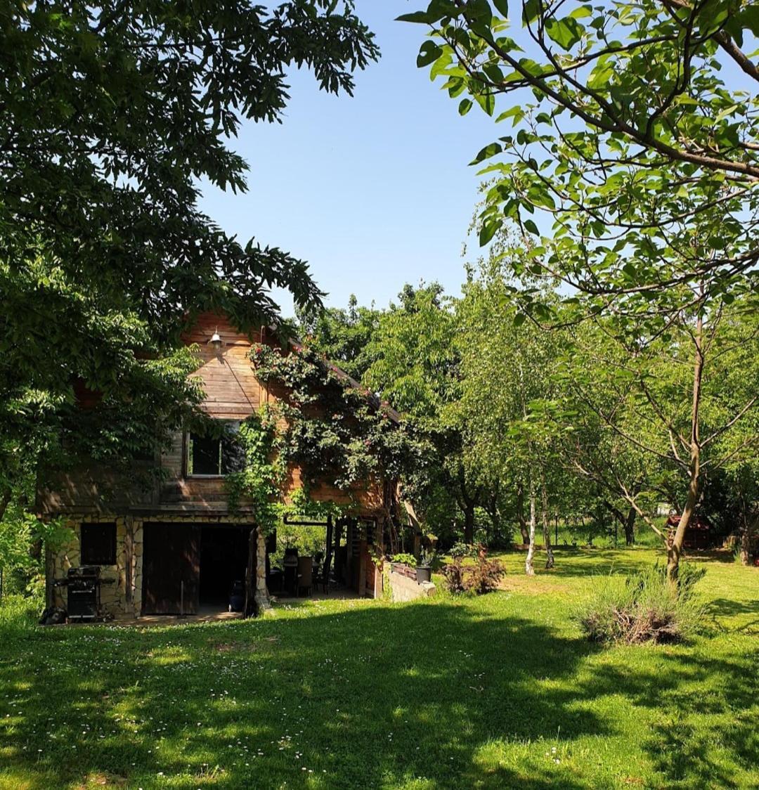 Log Cabin Belgrado Buitenkant foto